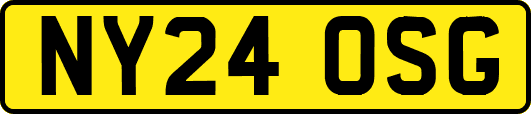 NY24OSG