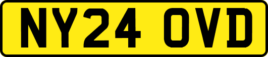 NY24OVD