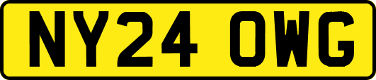 NY24OWG
