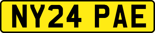 NY24PAE