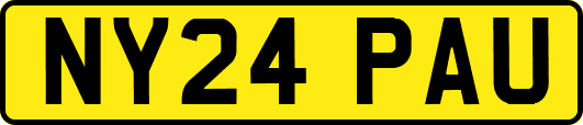 NY24PAU