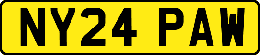 NY24PAW