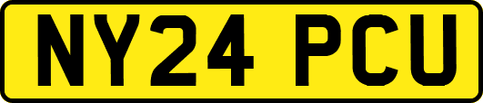 NY24PCU