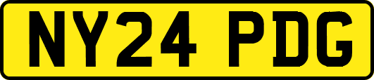 NY24PDG