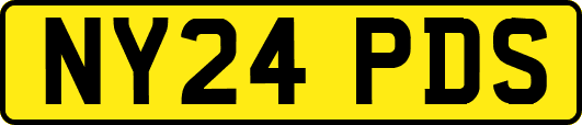 NY24PDS