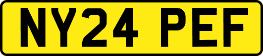 NY24PEF