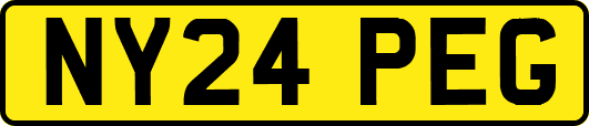 NY24PEG