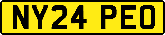 NY24PEO