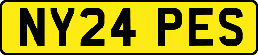 NY24PES