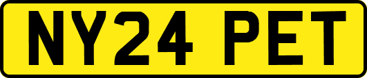 NY24PET