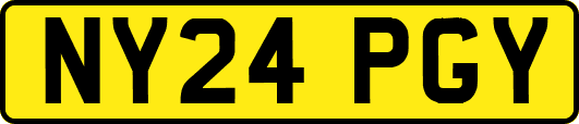 NY24PGY