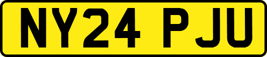 NY24PJU