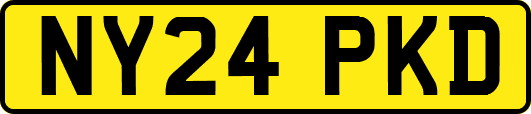 NY24PKD