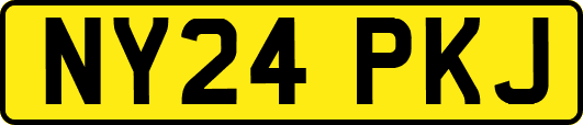 NY24PKJ