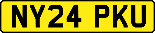 NY24PKU