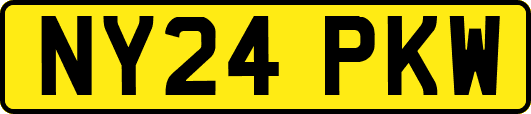 NY24PKW
