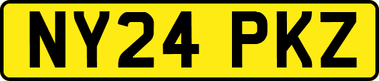 NY24PKZ