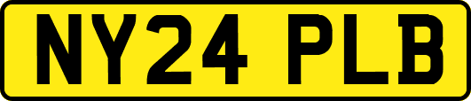 NY24PLB