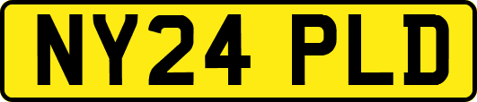NY24PLD