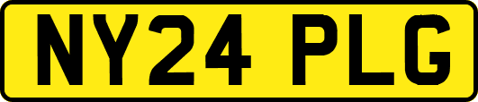 NY24PLG