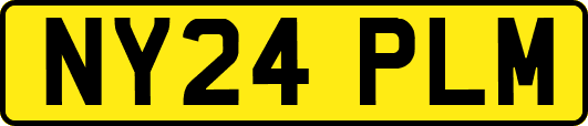 NY24PLM
