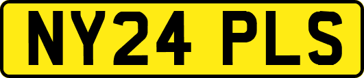NY24PLS