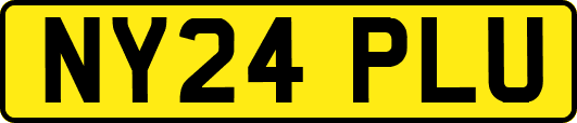 NY24PLU