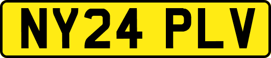 NY24PLV