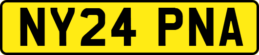 NY24PNA