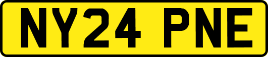 NY24PNE