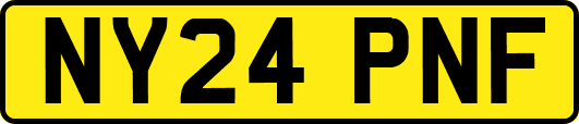 NY24PNF