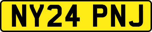 NY24PNJ