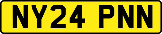 NY24PNN