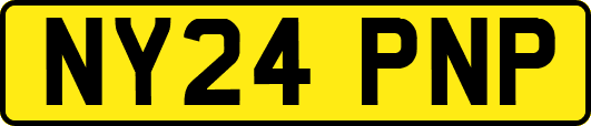 NY24PNP