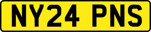 NY24PNS