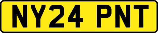NY24PNT