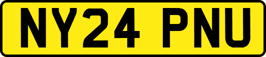 NY24PNU