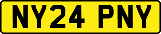 NY24PNY