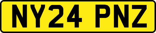 NY24PNZ