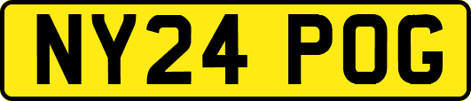 NY24POG