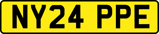 NY24PPE