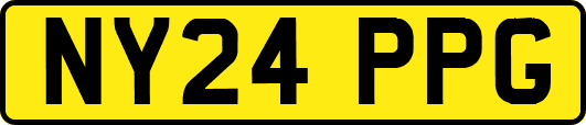 NY24PPG