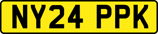 NY24PPK