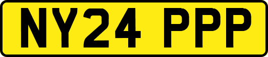NY24PPP