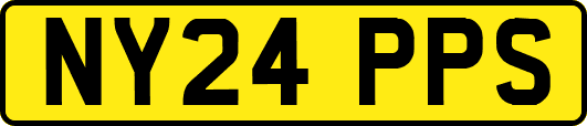NY24PPS