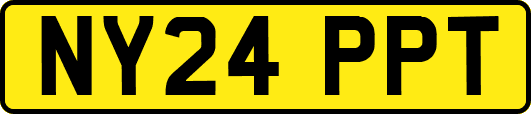 NY24PPT