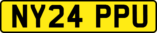 NY24PPU