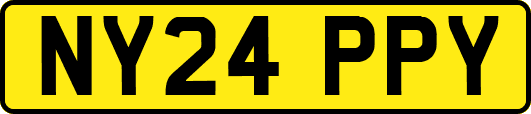 NY24PPY