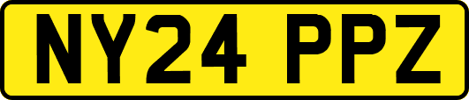 NY24PPZ