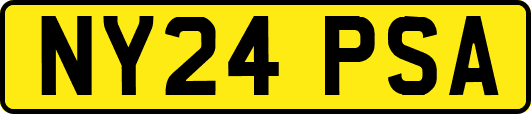 NY24PSA